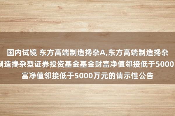国内试镜 东方高端制造搀杂A,东方高端制造搀杂C: 对于东方高端制造搀杂型证券投资基金基金财富净值邻接低于5000万元的请示性公告