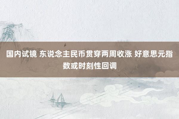 国内试镜 东说念主民币贯穿两周收涨 好意思元指数或时刻性回调