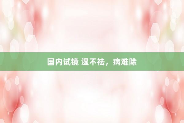 国内试镜 湿不祛，病难除