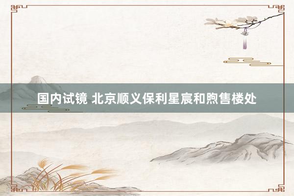 国内试镜 北京顺义保利星宸和煦售楼处