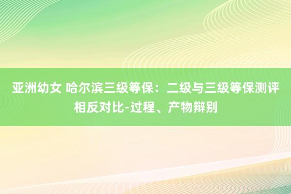 亚洲幼女 哈尔滨三级等保：二级与三级等保测评相反对比-过程、产物辩别