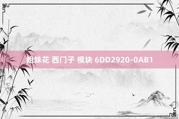 姐妹花 西门子 模块 6DD2920-0AB1