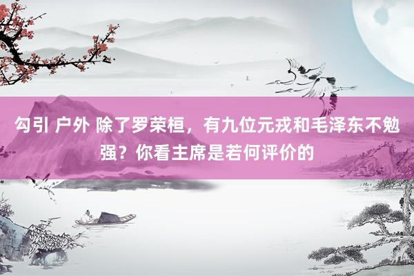 勾引 户外 除了罗荣桓，有九位元戎和毛泽东不勉强？你看主席是若何评价的