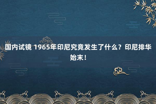国内试镜 1965年印尼究竟发生了什么？印尼排华始末！