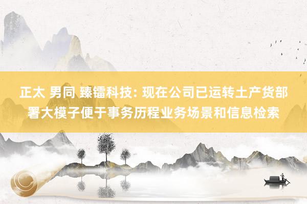 正太 男同 臻镭科技: 现在公司已运转土产货部署大模子便于事务历程业务场景和信息检索