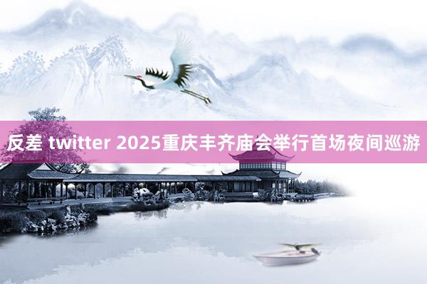 反差 twitter 2025重庆丰齐庙会举行首场夜间巡游