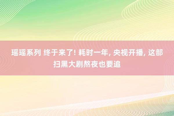 瑶瑶系列 终于来了! 耗时一年， 央视开播， 这部扫黑大剧熬夜也要追