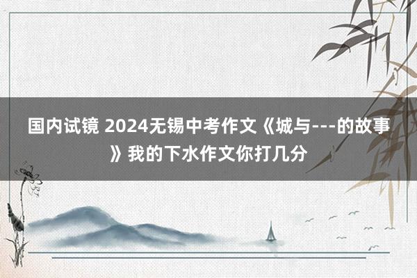 国内试镜 2024无锡中考作文《城与---的故事》我的下水作文你打几分
