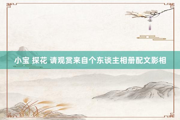 小宝 探花 请观赏来自个东谈主相册配文影相